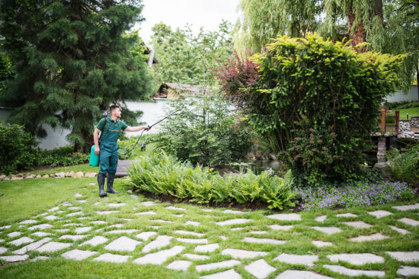 Best Pest Prevention Services  in Deshler, OH